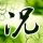 办理高仿沃斯威果学院毕业证【degxx.com】